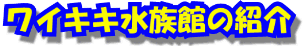���C�L�L�����ق̏Љ�